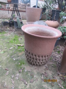 Estate Sale on Kingsburg, Kingsburg, CA — Kingsburg, CA Estate Sale by DS Liquidation Services Fresno, photo 1