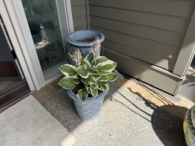 Estate Sale on West Linn, West Linn, OR — West Linn, OR Estate Sale by PDX Estate Services, photo 1