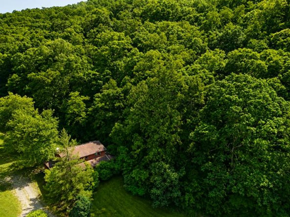 Estate Sale on James Collins Drive, Fort Gay, WV — Fort Gay, WV Online Auction by Joe R. Pyle Complete Auction & Realty Service - St. Albans, photo 1