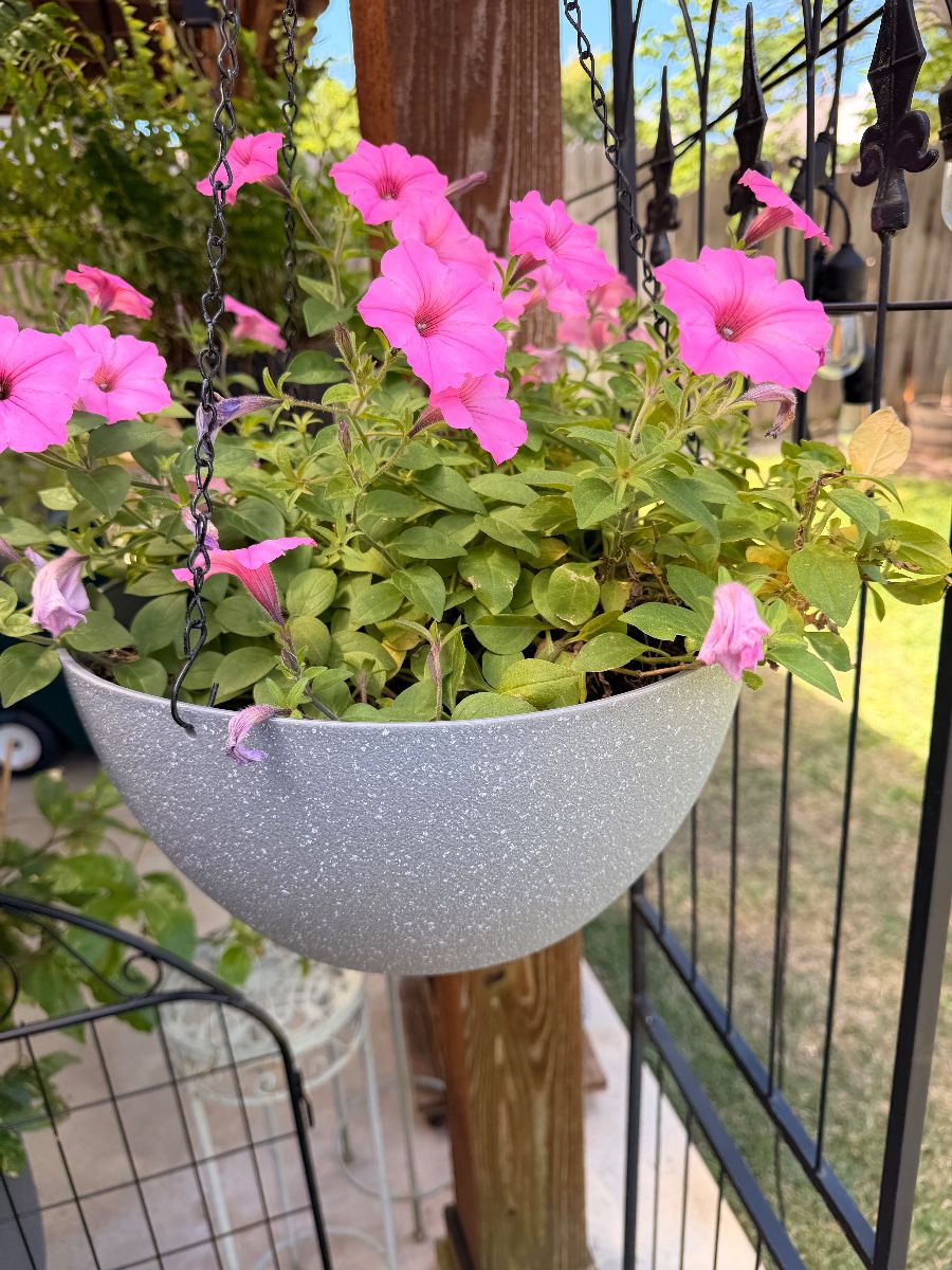 Estate Sale on Grand Prairie, Grand Prairie, TX — Grand Prairie, TX Estate Sale by James Major Estate Sales, photo 1