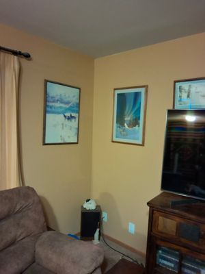 Estate Sale on Echo Drive, Alamosa CO — Alamosa, CO Estate Sale by A & B Auction Services LLC